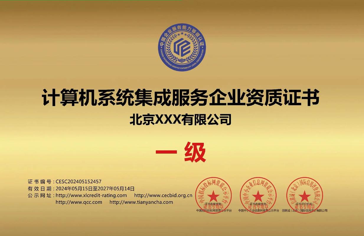 計算機系統(tǒng)集成服務(wù)一級證書 行業(yè)標(biāo)準(zhǔn)與專業(yè)價值
